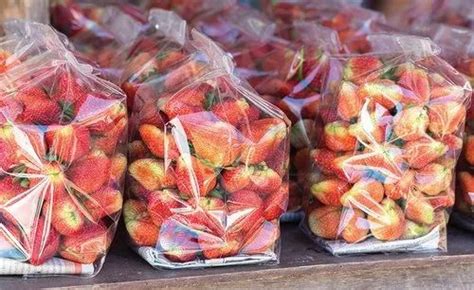 Printed Food Packaging Bag - Food Packaging Bag Manufacturer from Bengaluru