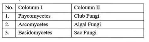 plz give me anwer fast - Brainly.in