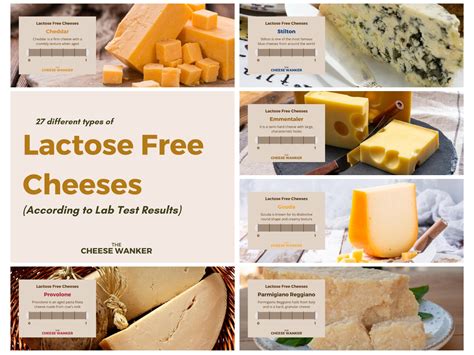 Cheeses With The Least Lactose | Cheeses That Contain Little Lactose – OHZC