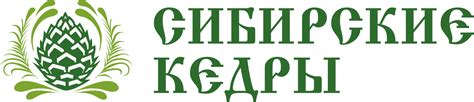 Выставки - Сибирские кедры