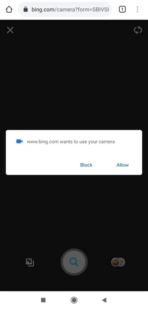 Bing Camera Search 的图像结果