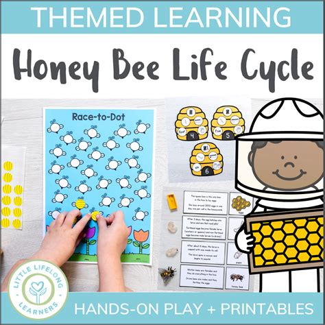 Honey Bee Life Cycle Mini Unit - Little Lifelong Learners