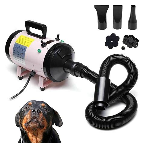 Buy Professional Pet Dog Cat Hairdryer Powerful 2800W Dog Pet Grooming ...