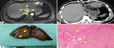 Image result for Ultrasound Lab