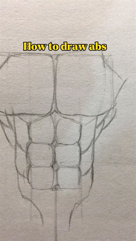 Image result for Draw Abs for Beginners
