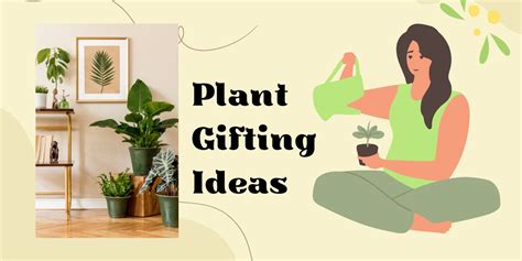 Plant Gifting Ideas – ChhajedGarden.com
