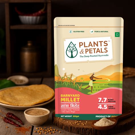 Barnyard Millet – Plants & Petals
