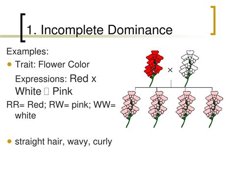 PPT - Incomplete Dominance & Codominance PowerPoint Presentation - ID ...