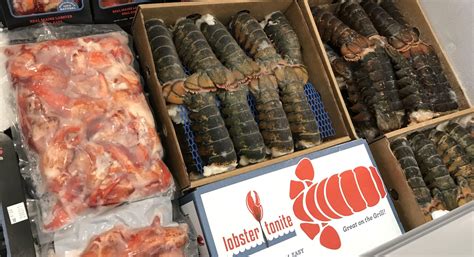US wholesale: Live lobster, coldwater-, warmwater-tail prices diverge ...