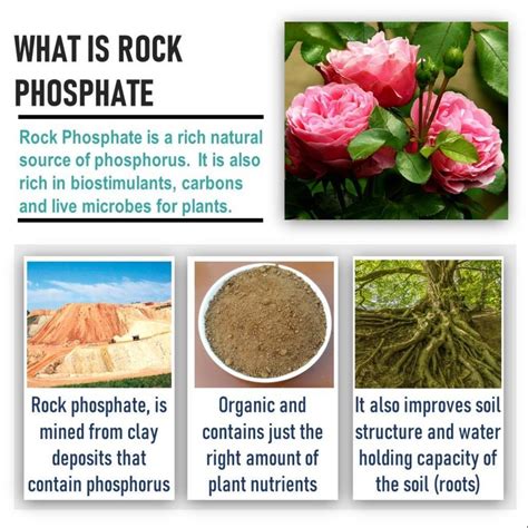 Agricultural Fertilizers - Rock Phosphate Fertilizer Trader - Retailer ...