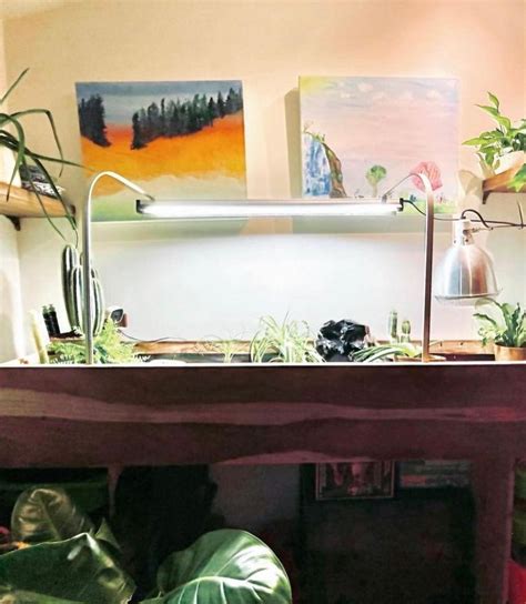 Image result for Tortoise Table