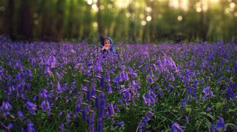 Image result for IPhone Photography Tutorial