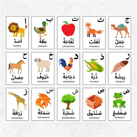 Arabic Alphabets Flash Cards, Arabic Learning First Words Cards ...