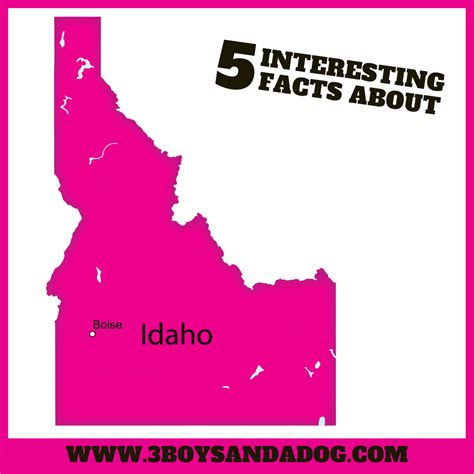 8 Fun and Educational Letter T Sensory Activities to Try