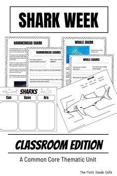 36 Shark Week - First Grade Classroom ideas | shark, shark week, first ...