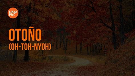 4 Seasons In Spanish: A Vocab Guide For Beginners