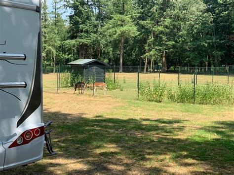 BOSRIJK RUIGHENRODE (Lochem) - Hotel Reviews, Photos, Rate Comparison ...