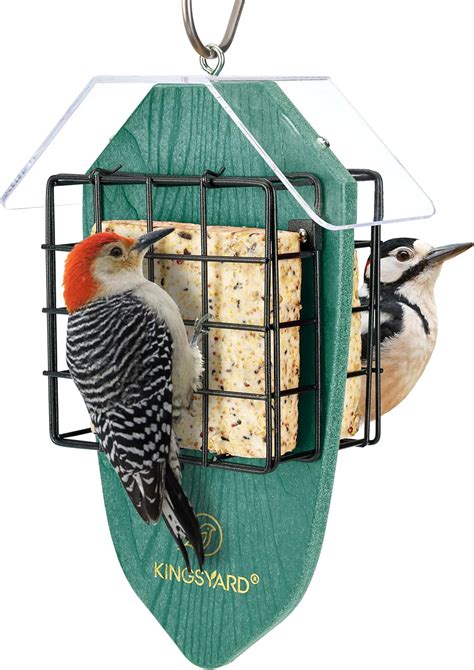 Amazon.com : Kingsyard Recycled Plastic Double Suet Feeder with ...