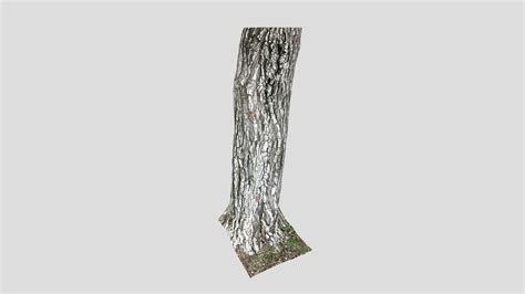 Image result for Random CAD Tree Base Generator