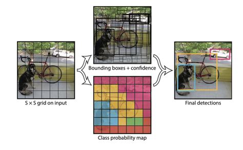 Byte Array From Object Detection 的图像结果