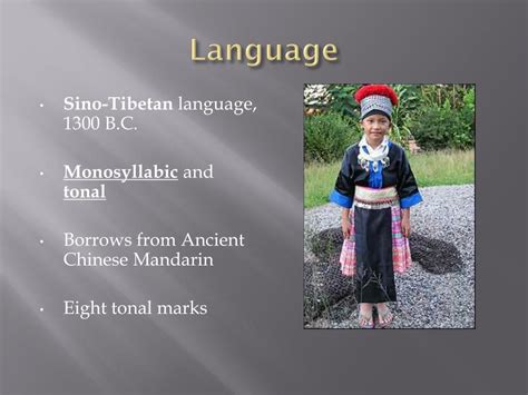 Image result for Hmong Tutorial