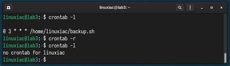 How to Use Linux Cron 的图像结果