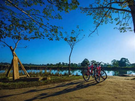 Assam’s wonders: 5 reasons that make Majuli island unique