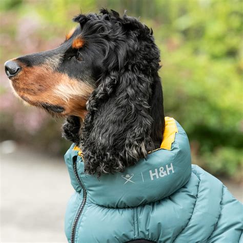 Forest Green & Gold Dog Puffer Jacket – Hugo & Hudson London