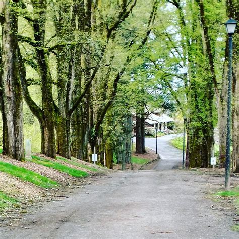 JENKINS ESTATE (2026) All You Need to Know BEFORE You Go (with Photos ...