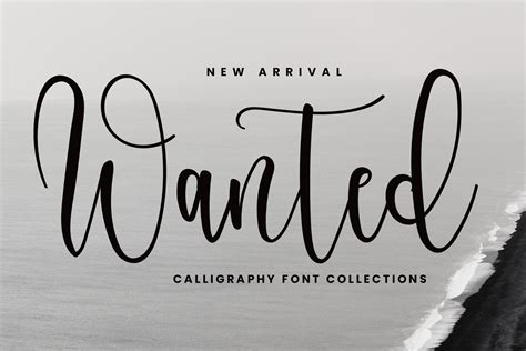Wanted Fonts Formatting A Document, Fonts, Alignment, Spacing