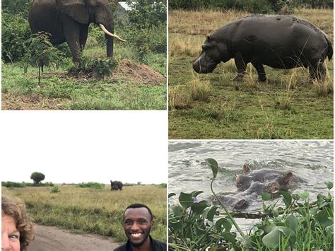 WEZA SAFARIS (2026) All You Need to Know BEFORE You Go (with Photos ...