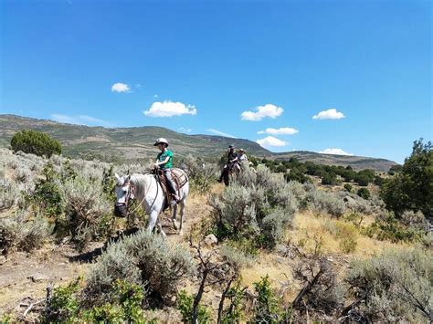 KB HORSES (2026) All You Need to Know BEFORE You Go (with Photos ...