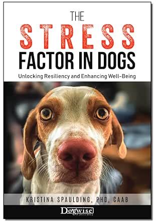 The Stress Factor in Dogs: Unlocking Resiliency and Enhancing Well ...