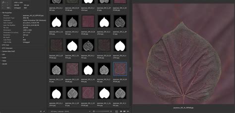 Image result for Leaf Texture High Resolution