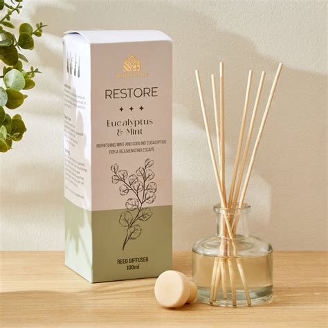 Buy Adora Restore Eucalyptus and Mint Reed Diffuser Set from Home ...