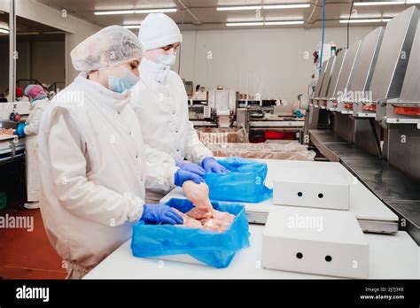 Inside Cattle Processing Plant Video 的图像结果