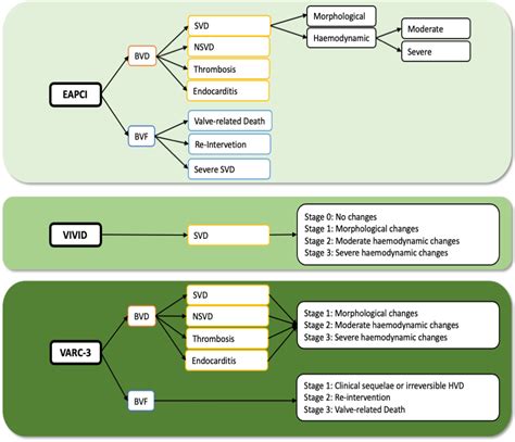 Durability of Transcatheter Heart Valves: Standardized Definitions and Available Data