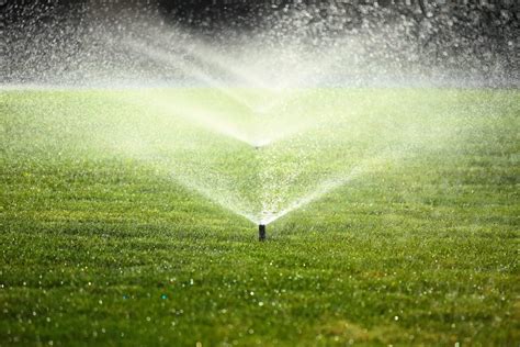 Fast Sprinkler Head Repair Services in Bradenton, FL