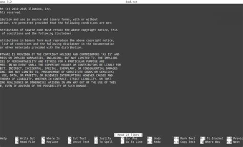 How to Write File in Nano 的图像结果