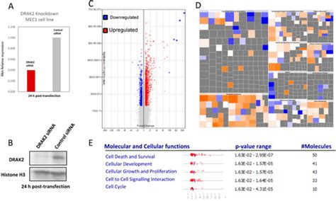 DAP Kinase-Related Apoptosis-Inducing Protein Kinase 2 (DRAK2) Is a Key ...