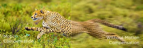 TCL TV C72K Premium QD-MiniLED TV, 55 to 98 inch | TCL India