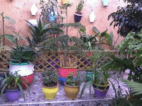 RIAD MEDINA FES (Fez) - Hotel Reviews & Photos - Tripadvisor