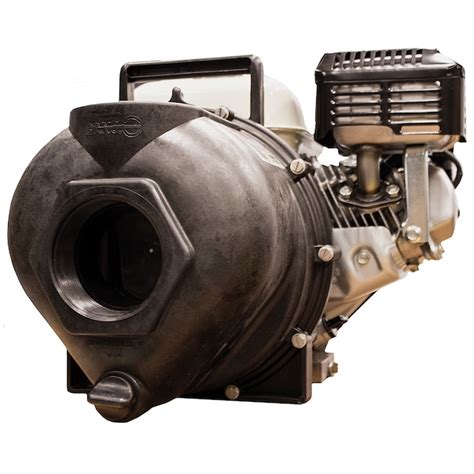 BANJO 300-Gallon Thermoplastic Transfer pump in the Water Pumps ...