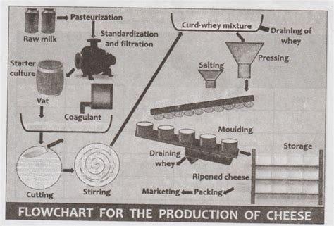 Transcoding - Writing | Professional English