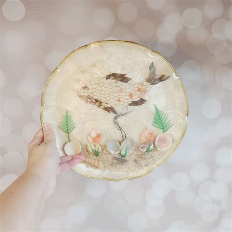 Image result for Capiz Shell Drawing