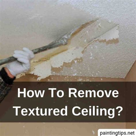 Textured Ceiling Removal 的图像结果