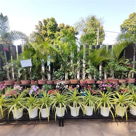 THE 10 BEST Restaurants in Sundargarh District (Updated 2025)