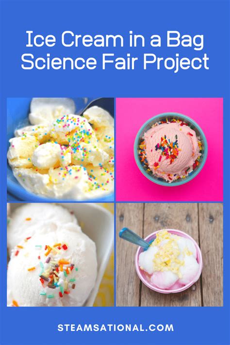 Food Science Experiments 的图像结果