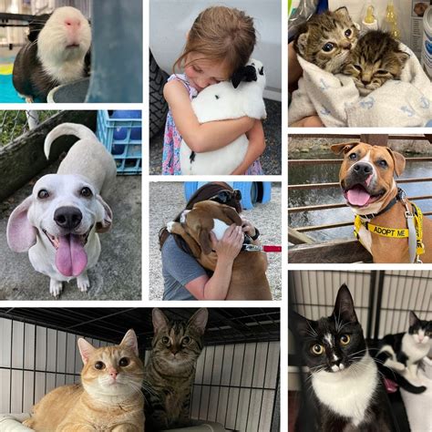 Become a Partner! | Caroline County Humane Society