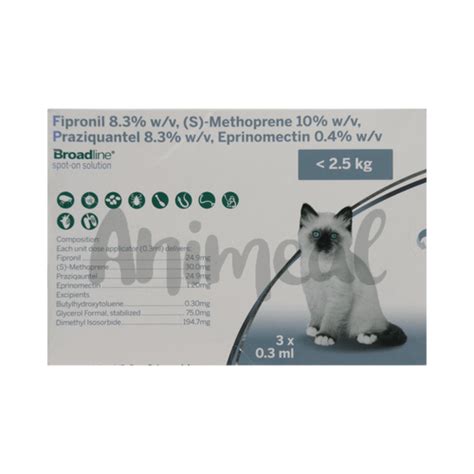 Fleas & Ticks For Cats – Surya Vets